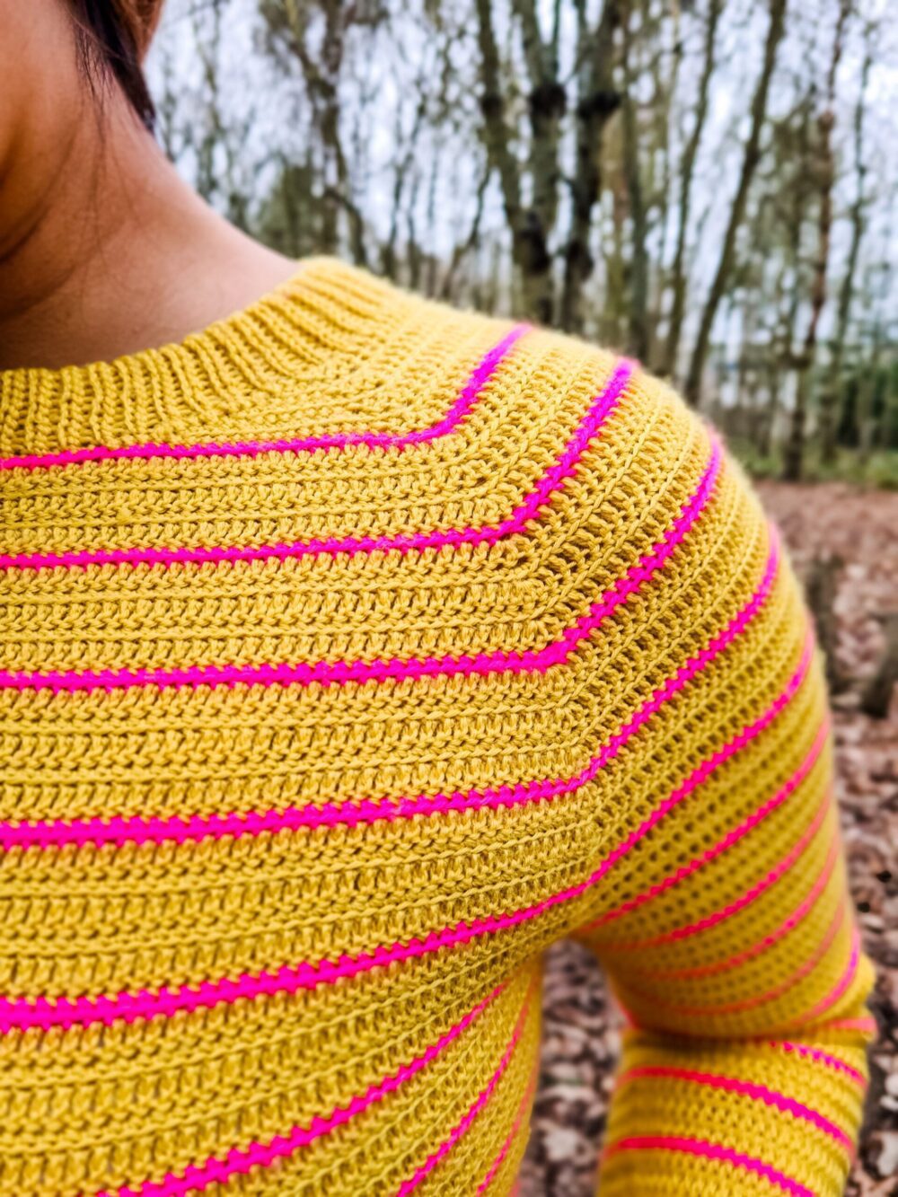 Stripy Parvum Pullover - Image 3