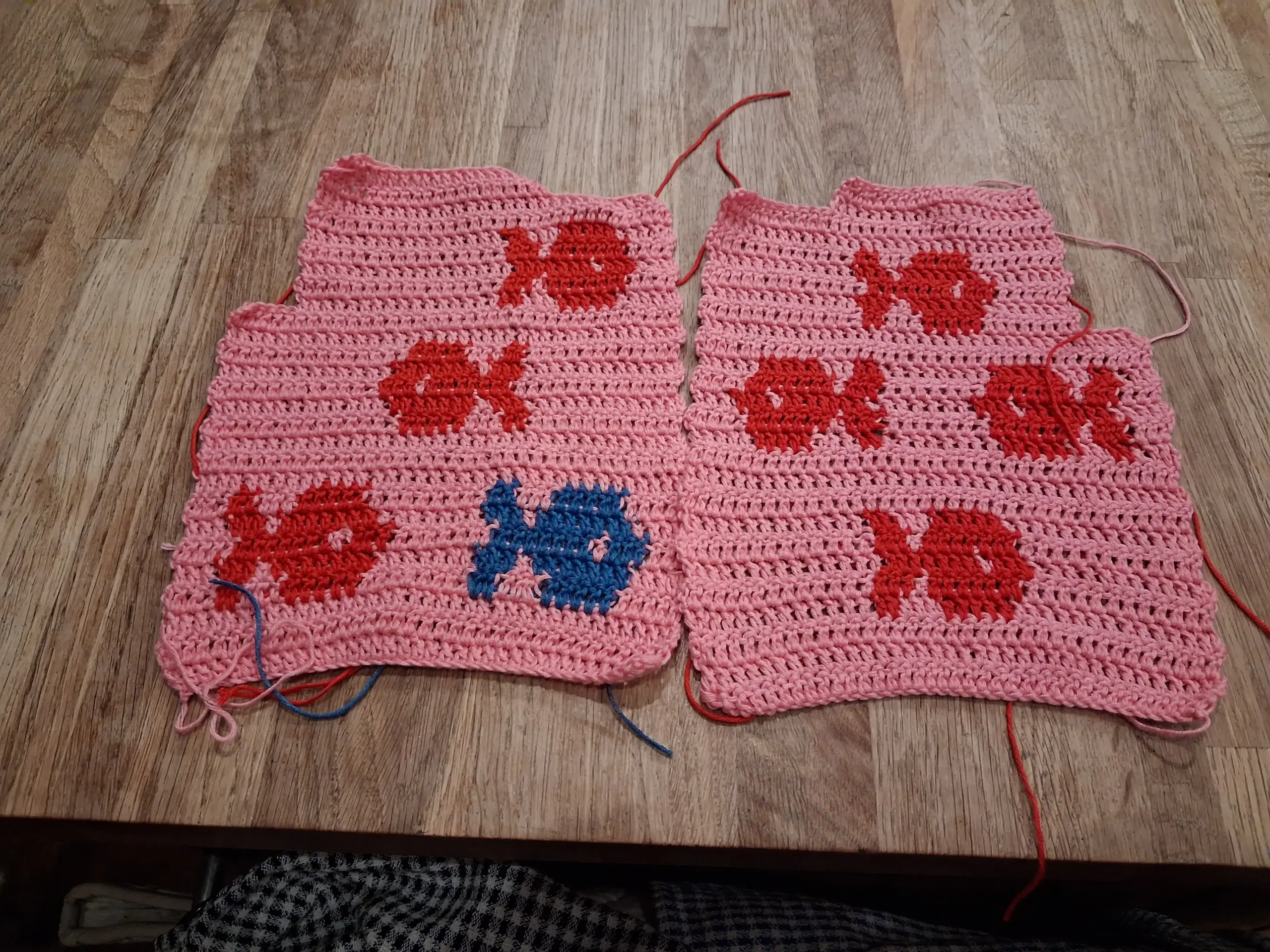 Cora beas fishy cardi